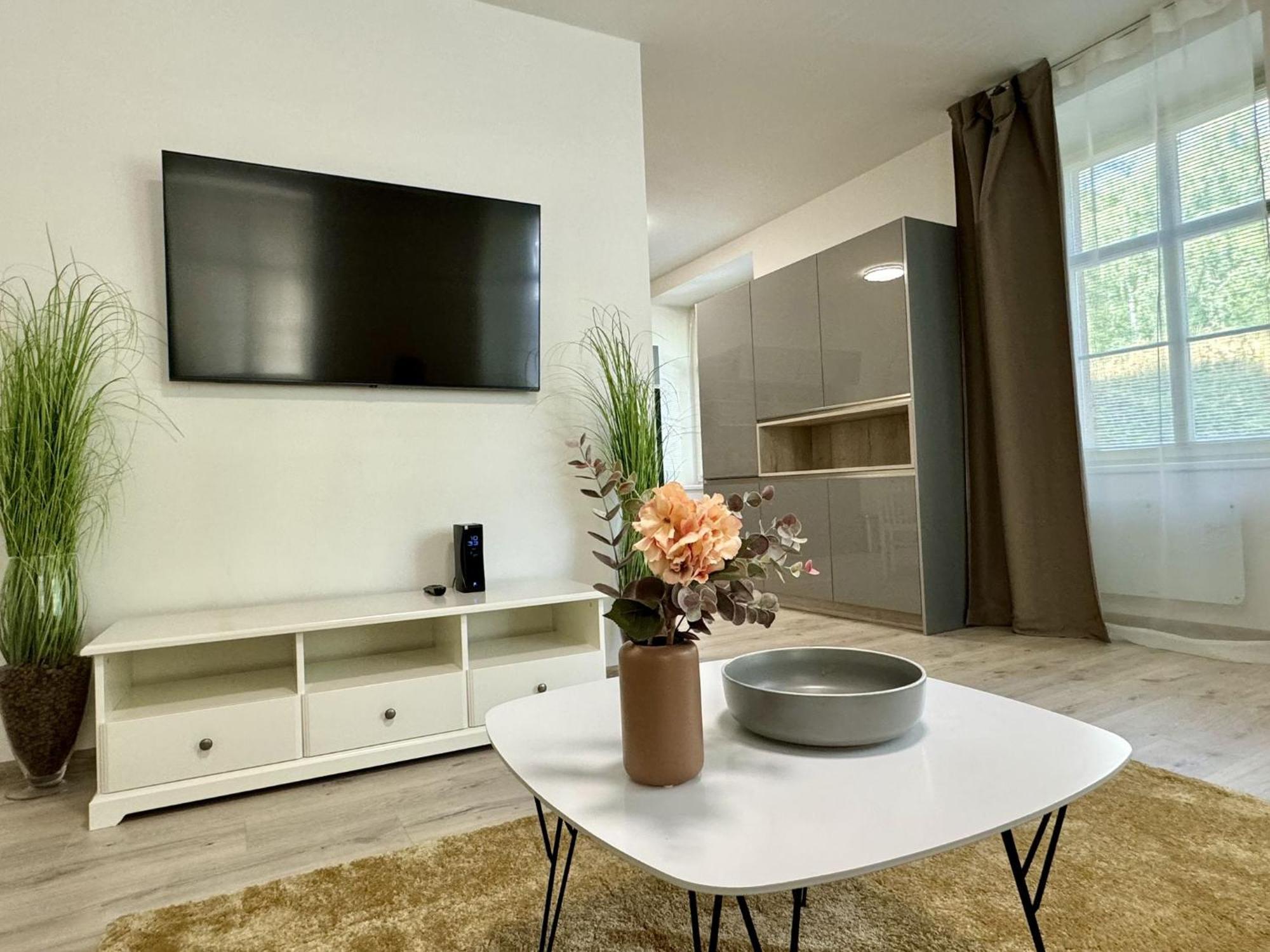 Rivercity Apartments Karlovy Vary Esterno foto